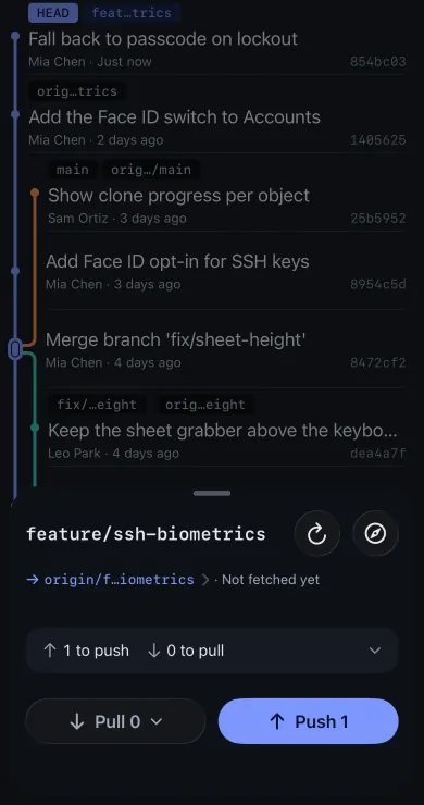 History with the new commit on feature/ssh-biometrics and the Sync sheet: 1 to push, Push 1.